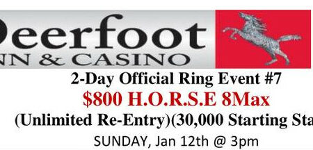HORSE Up to 98 Entries