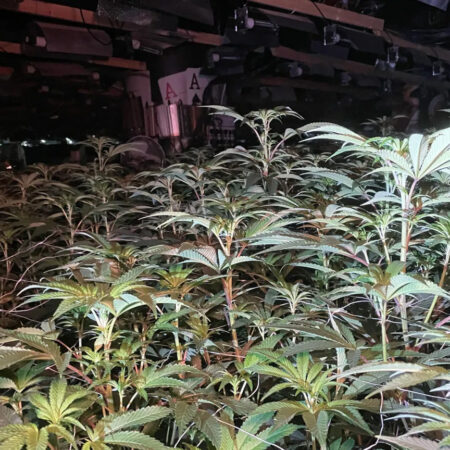 Grow-op Found in Former Aspers Casino in Northampton