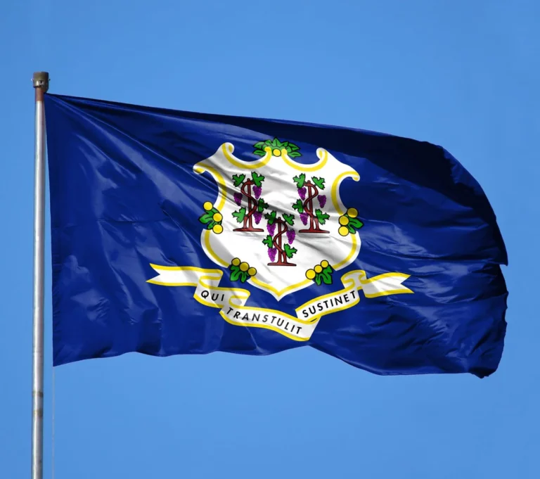 Connecticut Flag