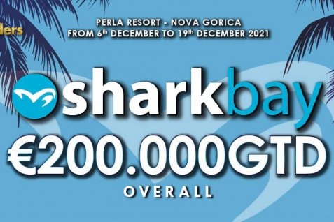 The Wonderful Sharkbay Series is Coming To Nova Gorica