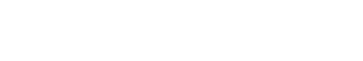 Luxon Pay Logo White